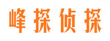 黑山找人公司